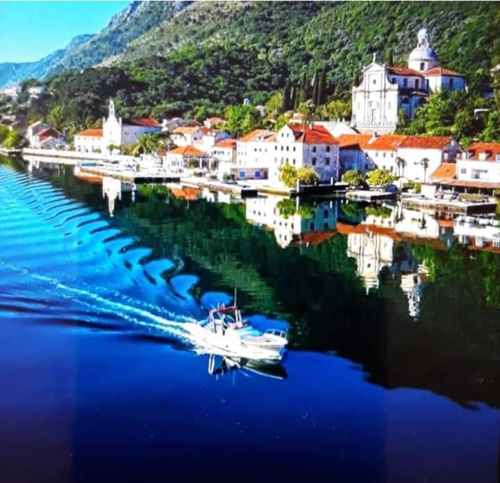 Apartments With Sea View In Prcanj Kotor Exteriör bild