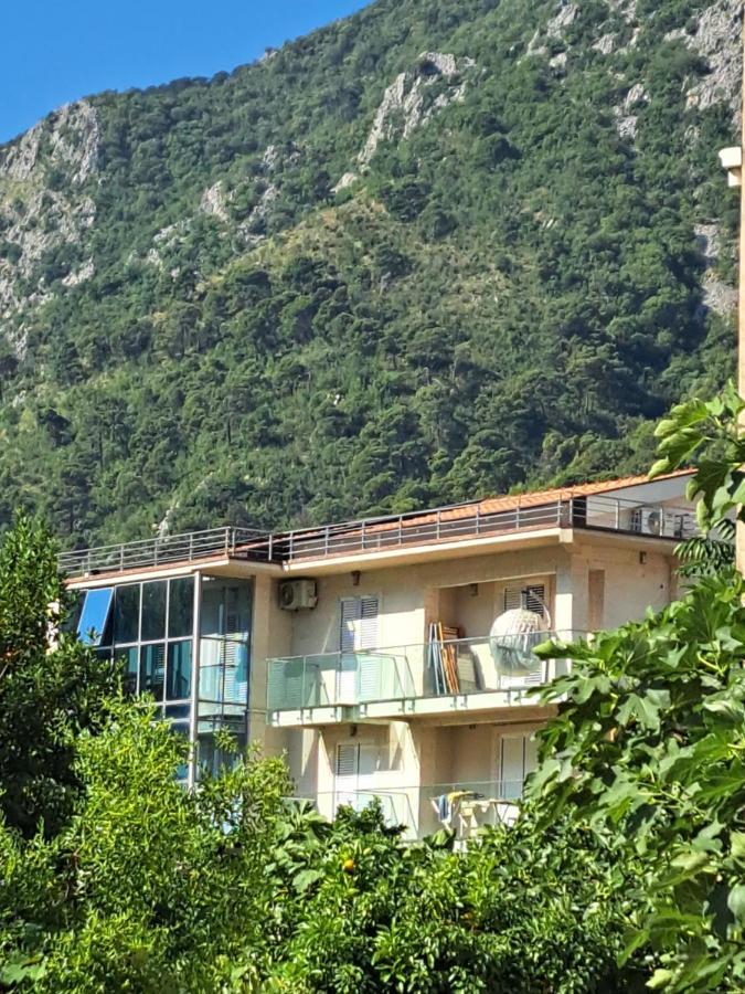 Apartments With Sea View In Prcanj Kotor Exteriör bild